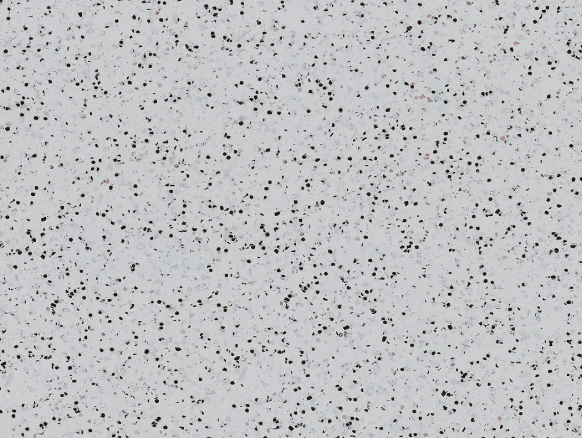 Mipolam BioControl EL5 - 2001 Light Fog